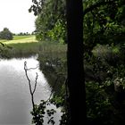 20210629  Blick über den Lernschwimmteich zum kleinen Teich