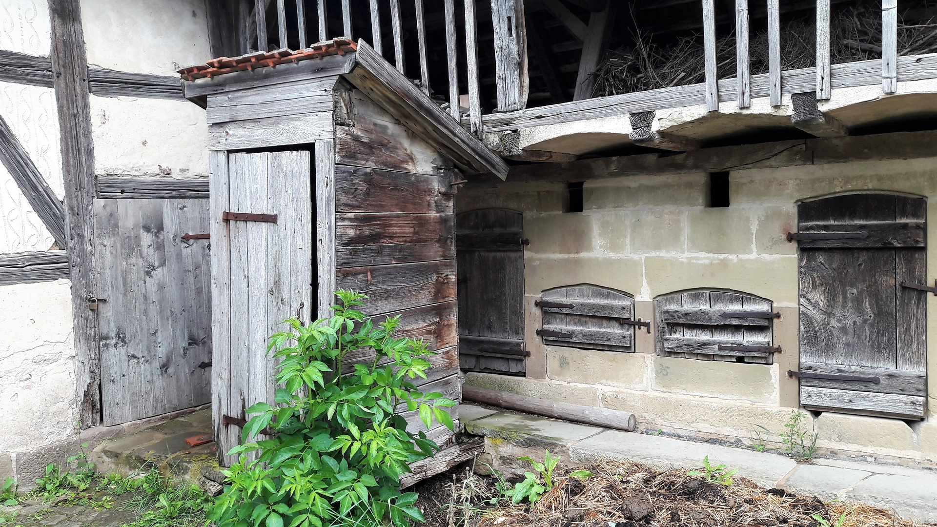 20210701 Freilandmuseum Bad Windsheim : Brotbacken hinter dem Donnerbalken