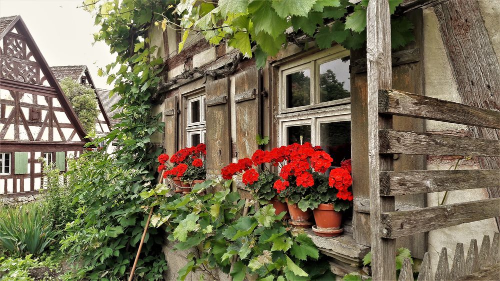 20210701 Freilandmuseum Bad Windsheim : Garten, Fachwerk, Fensterläden  und Blumen
