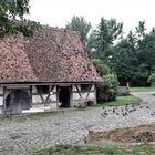 20210701 Freilandmuseum Bad Windsheim : Tauben auf und vor dem Stall