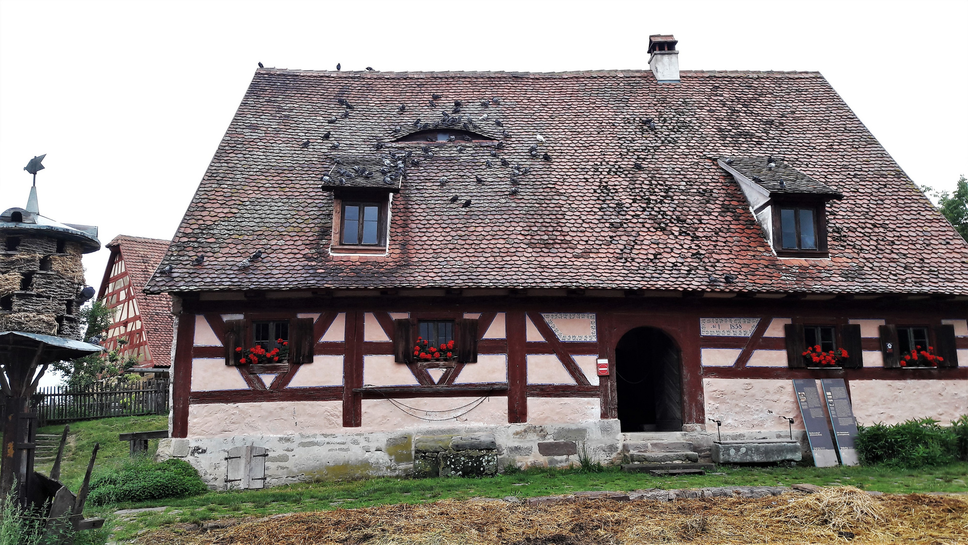 20210701 Freilandmuseum Bad Windsheim : Taubenhaus und Tauben auf dem Bauernhaus