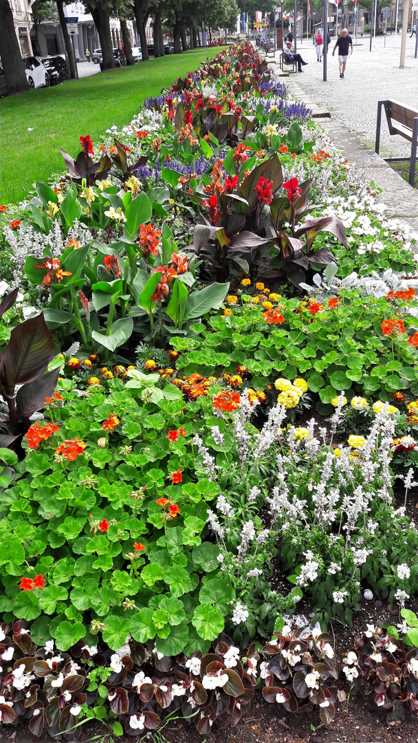 20210705  Bayreuth: Blumen führen in die Innenstadt