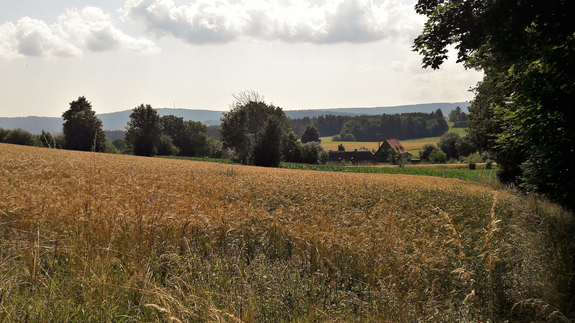 20210723 Blick ins Fichtelgebirge zum Waldstein -( sender)