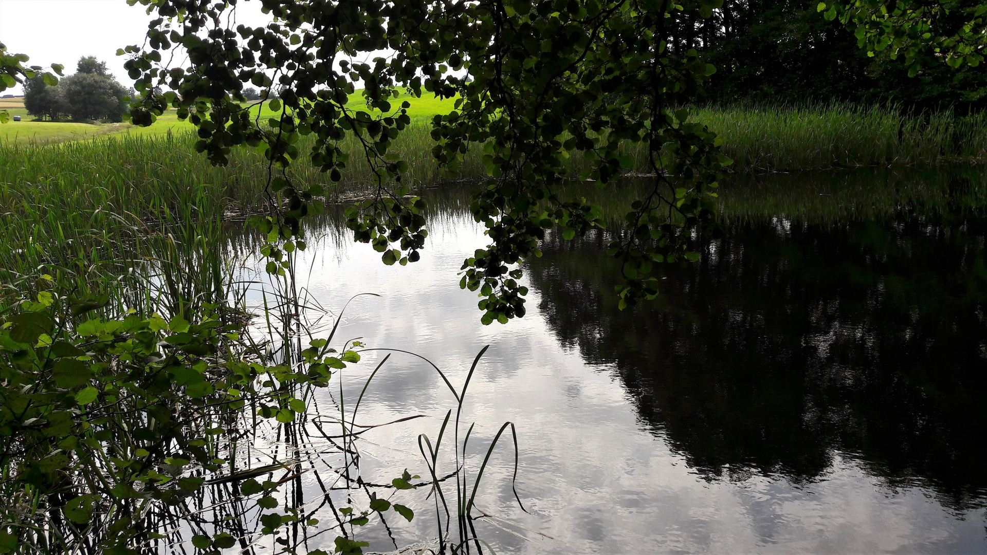 20210725 Dienstag ist Spiegeltag : Lernschwimmteich 