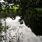 20210725 Dienstag ist Spiegeltag : Lernschwimmteich 