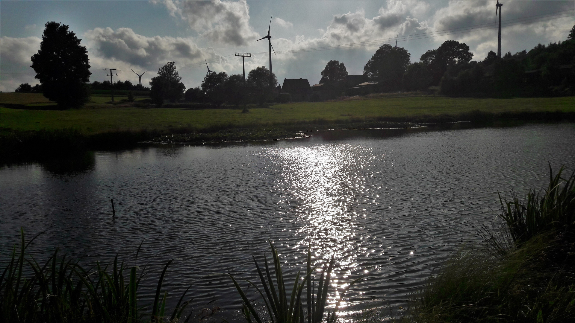 20210728  Spiegeltag am Seerosenteich