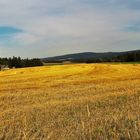 20210815 Abgeerntet  (mit Blick zum Fichtelgebirge)