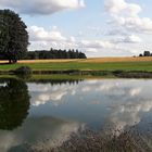 20210821 Dienstag ist Spiegeltag : Seerosenteich mit Wolkenspiegelung