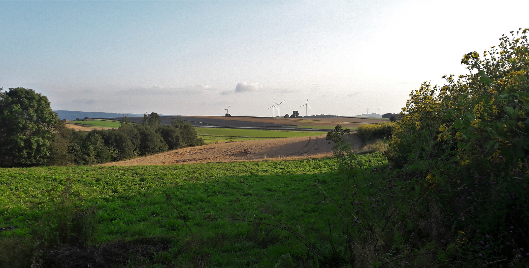 20210824 Blick von der Streuobstwiese übers das wellige  Land