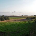 20210824 Blick von der Streuobstwiese übers das wellige  Land