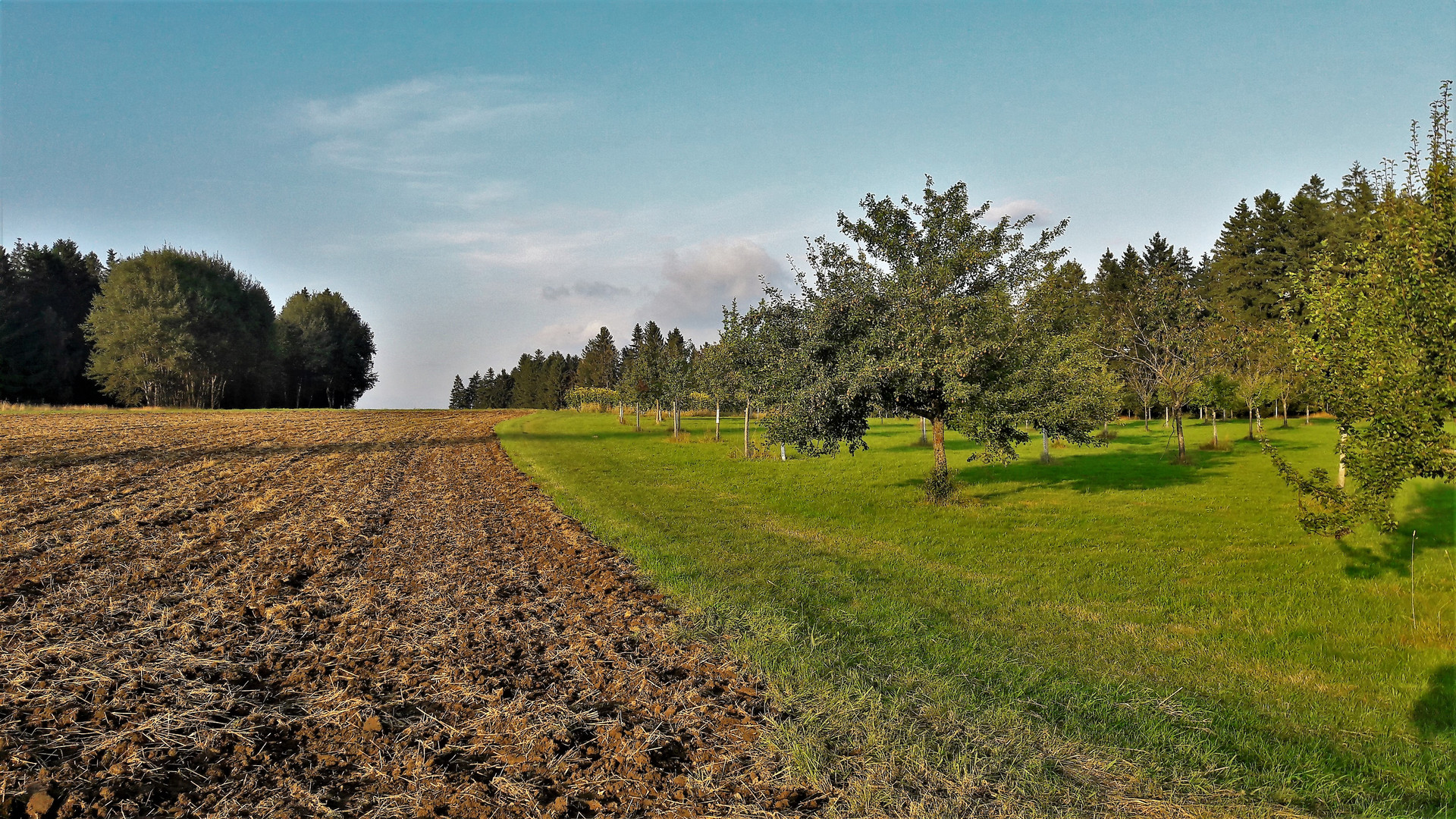 20210824 Endlich wieder freier Blick