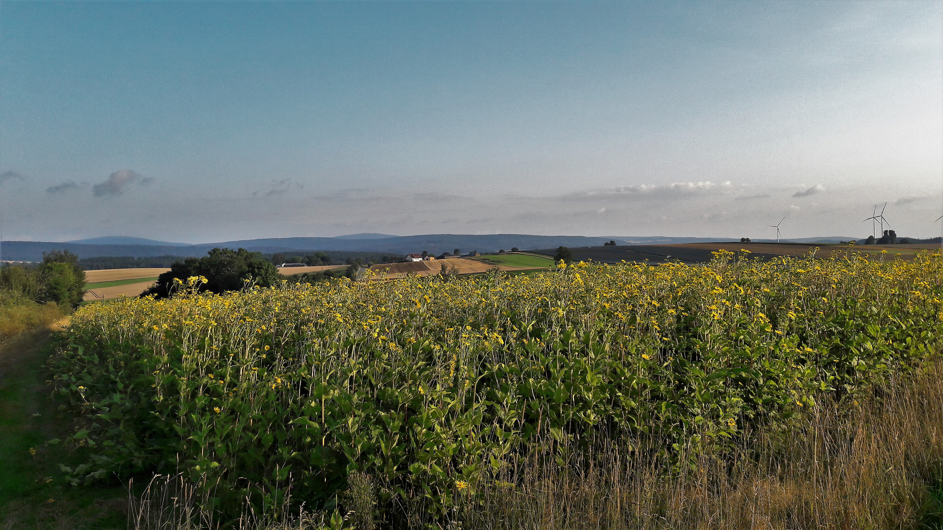 20210824 Energiewende und trotzdem schöne Landschaft