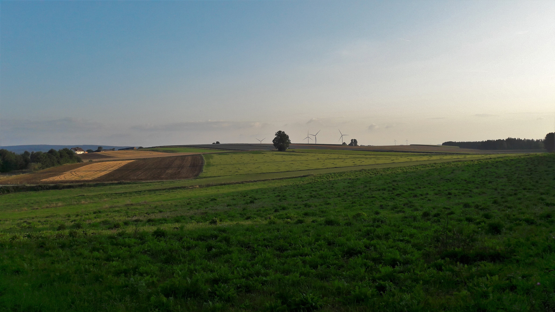 20210824 Ernten und Pflügen