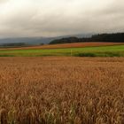 20210831 Fluren Blickrichtung Zell im Fichtelgebirge 