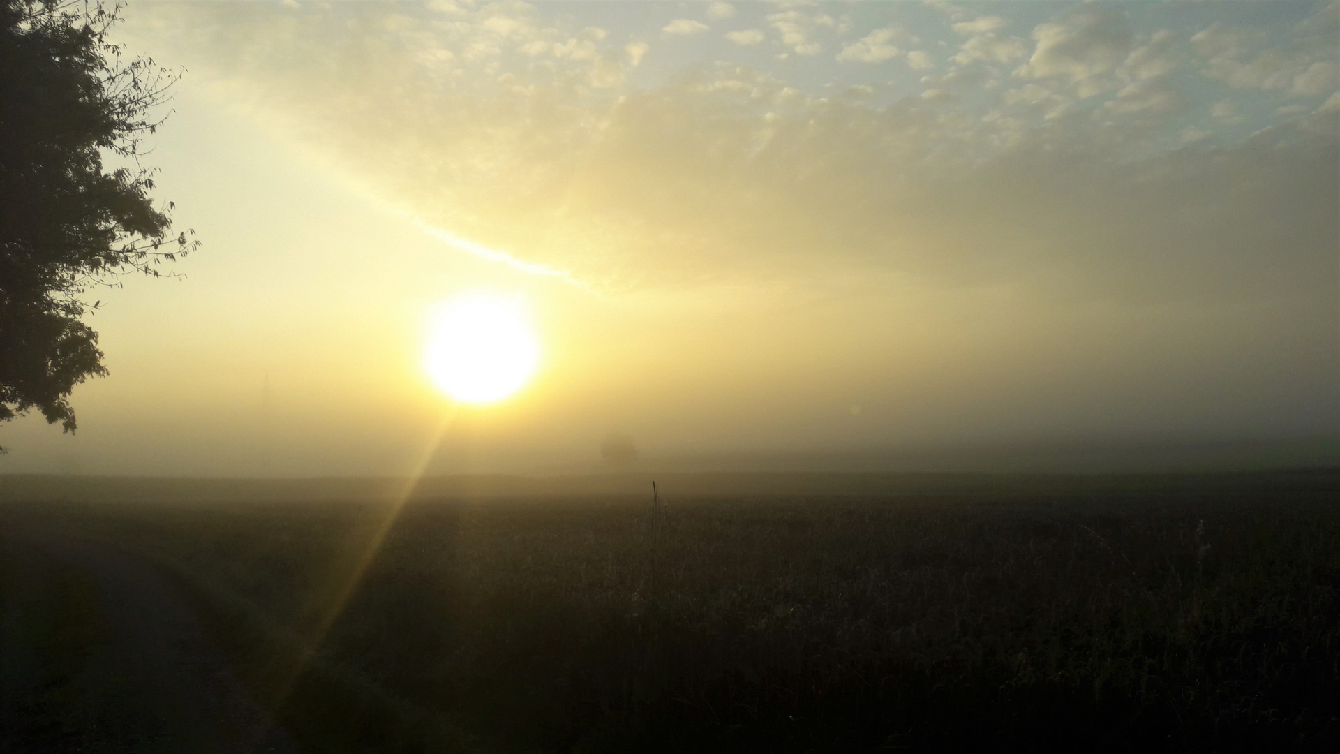 20210904 Die Sonne kämpft sich durch den Nebel