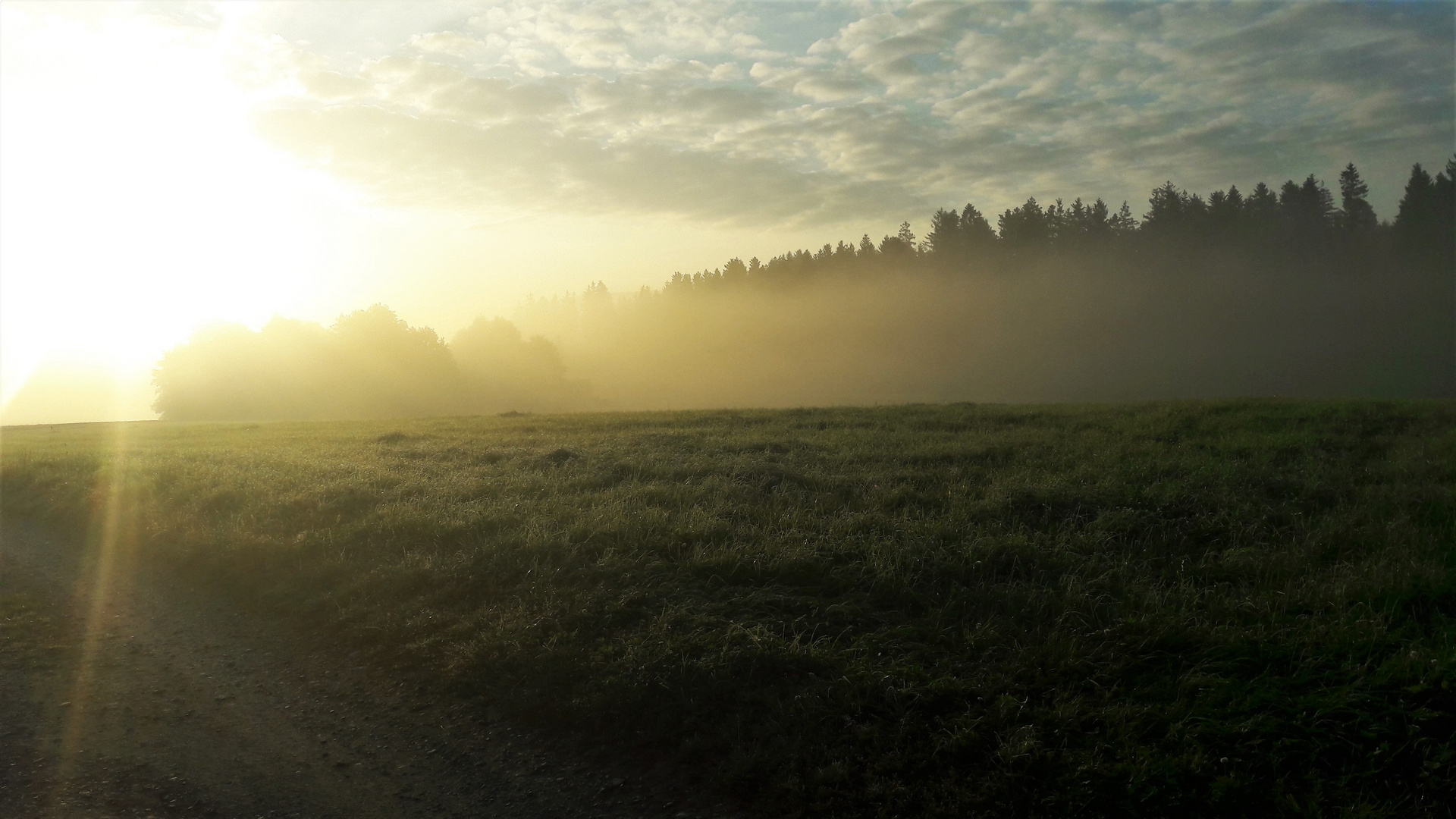 20210904 Frühmorgens der Sonne entgegen