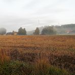 20210904  Stoppelfeld Im Morgennebel