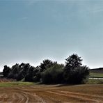 20210908 Des Rätsels Lösung: Fahrsilobau am Friedmannsdorfer Berg (ganz rechts)