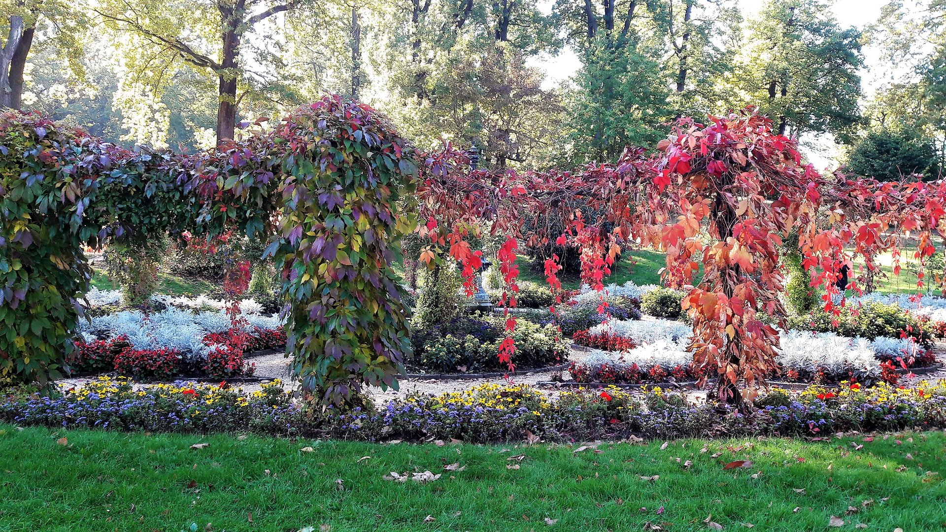 20211009 Mittwochsblümchen Potsdam Babelsberg Schlosspark 