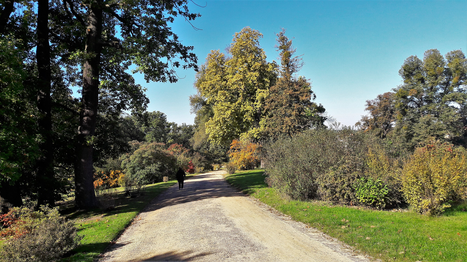 20211009 Potsdam Schlosspark Babelsberg