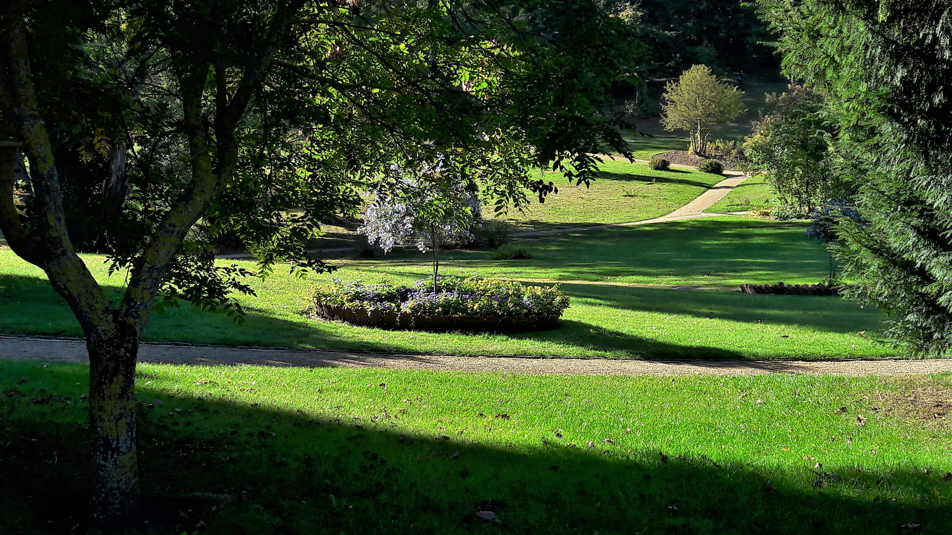 20211009  Schlosspark Babelsberg Wege und Pfade