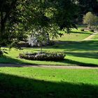 20211009  Schlosspark Babelsberg Wege und Pfade