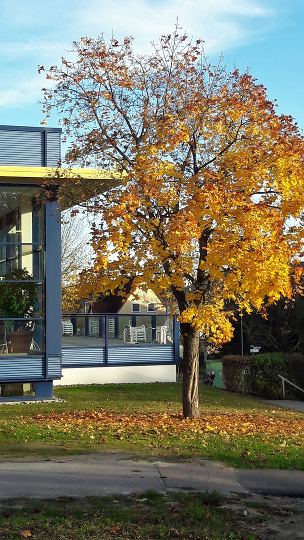 20211031 Hallenbad Dinkelsbühl Liegeterrasse 