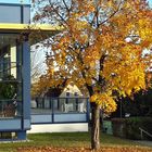 20211031 Hallenbad Dinkelsbühl Liegeterrasse 