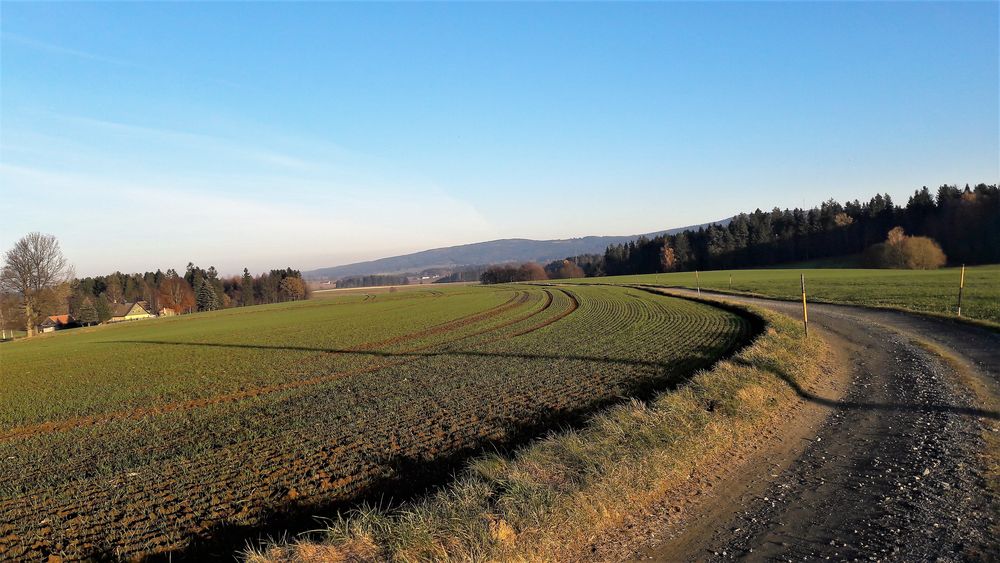 2021111 Wasserscheideweg : Schneezeichen- der Schnee kann kommen