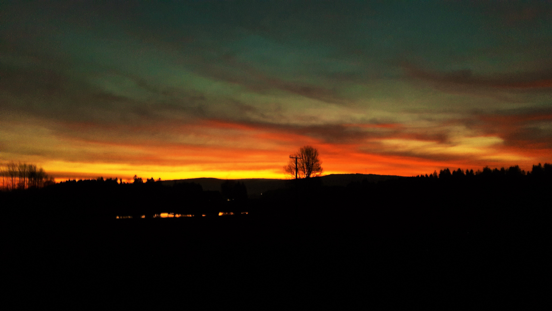 20211110 0637 Sonnenaufgang über dem Seerosenteich