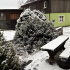 20211127 Zwei Spuren im Schnee 