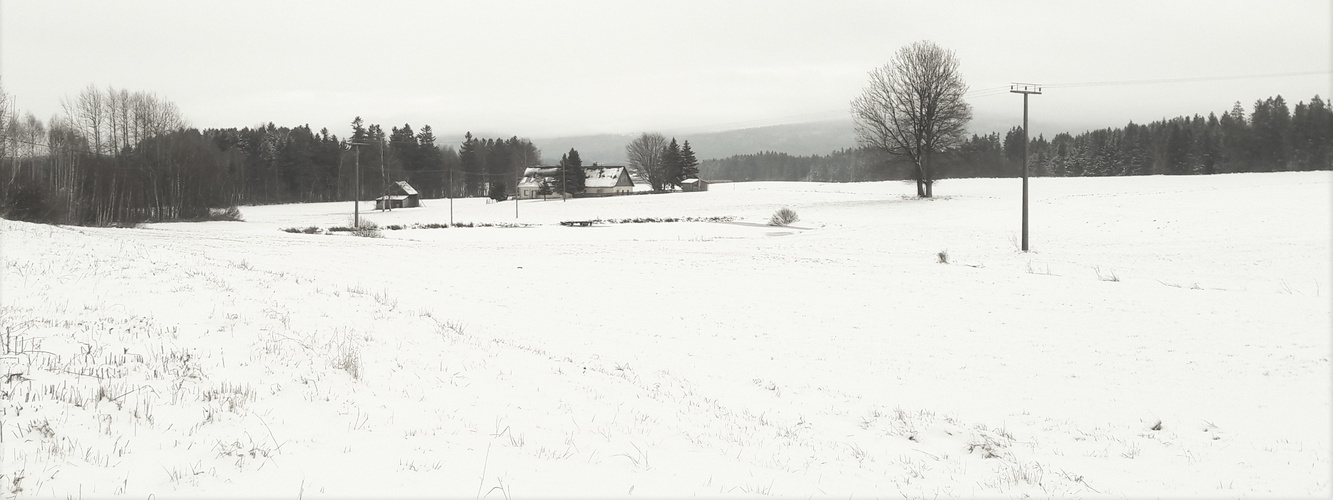 20211204 Seerosenteich mit Schnee bedeckt