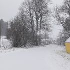 20211207 Es schneit  ober gscheit 