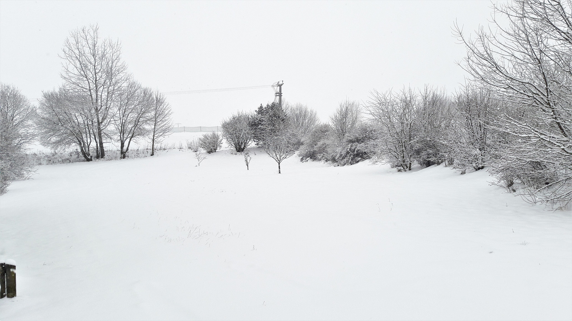 20211209_Blick aus dem Küchenfenster