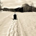 20211212 Schwarzweißer Freitag :Holztransport als  Senioren-Wintersport