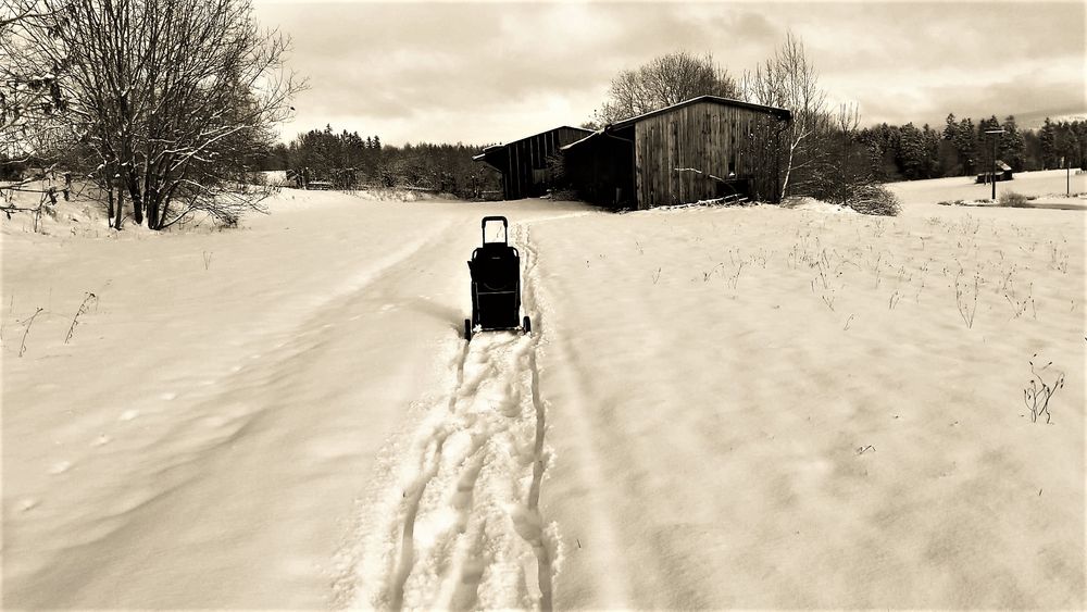 20211212 Schwarzweißer Freitag :Holztransport als  Senioren-Wintersport