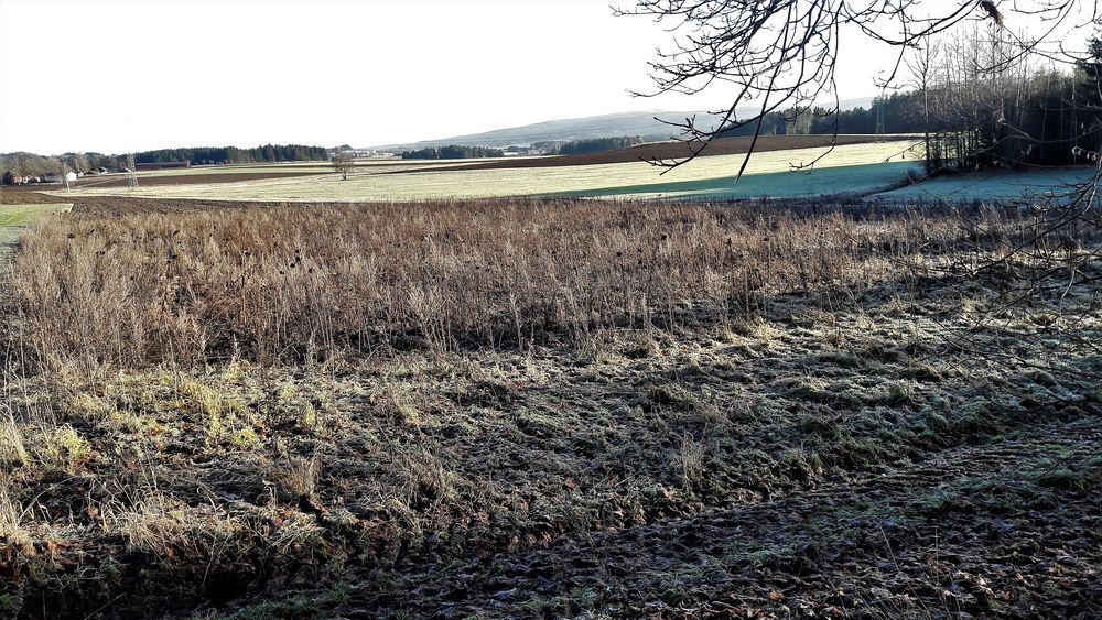 20211220 Blick über  "gefrostete" Felder und Wiesen zum Fichtelgebirge