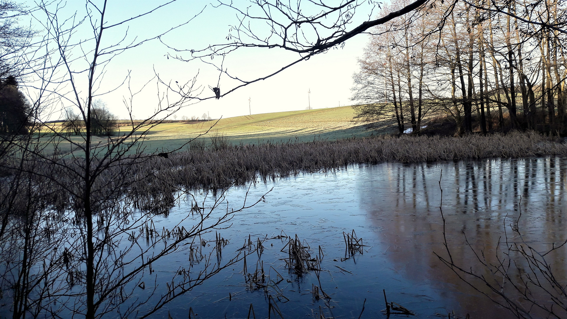 20211220 Dienstag ist Spiegeltag : Lernschwimmteich mit Eishaut