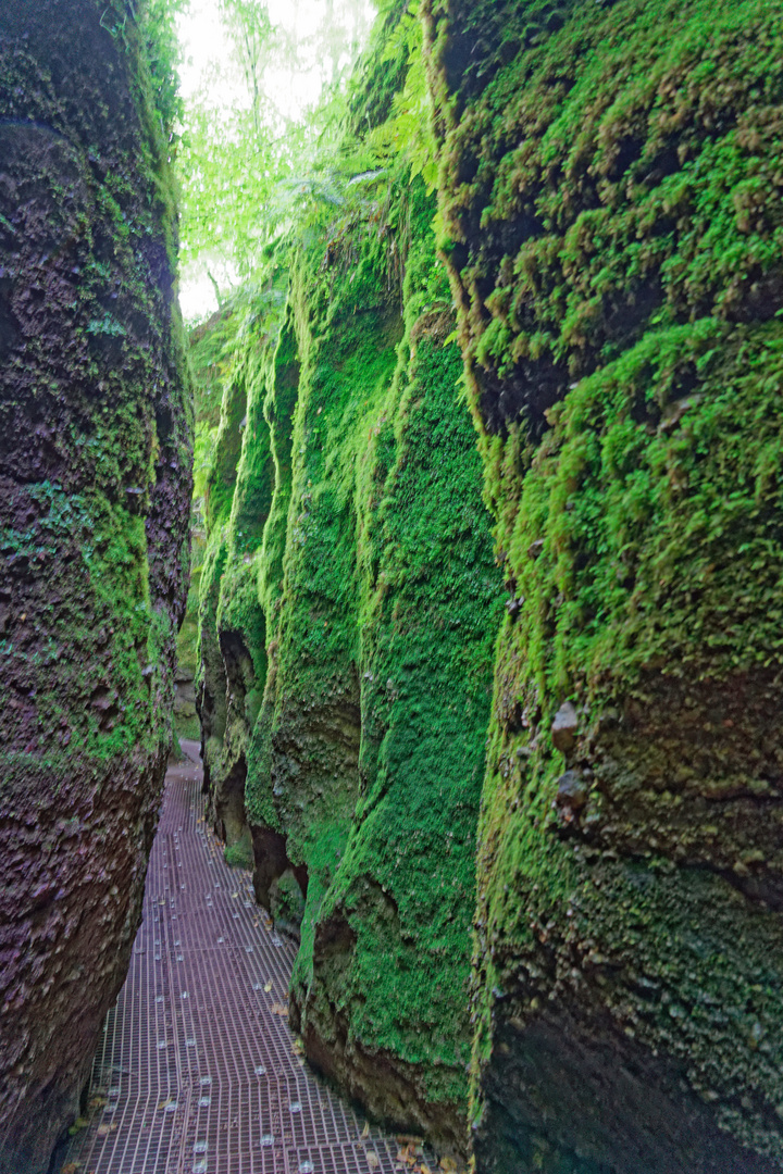 2021_Eisenach_Drachenschlucht_5538