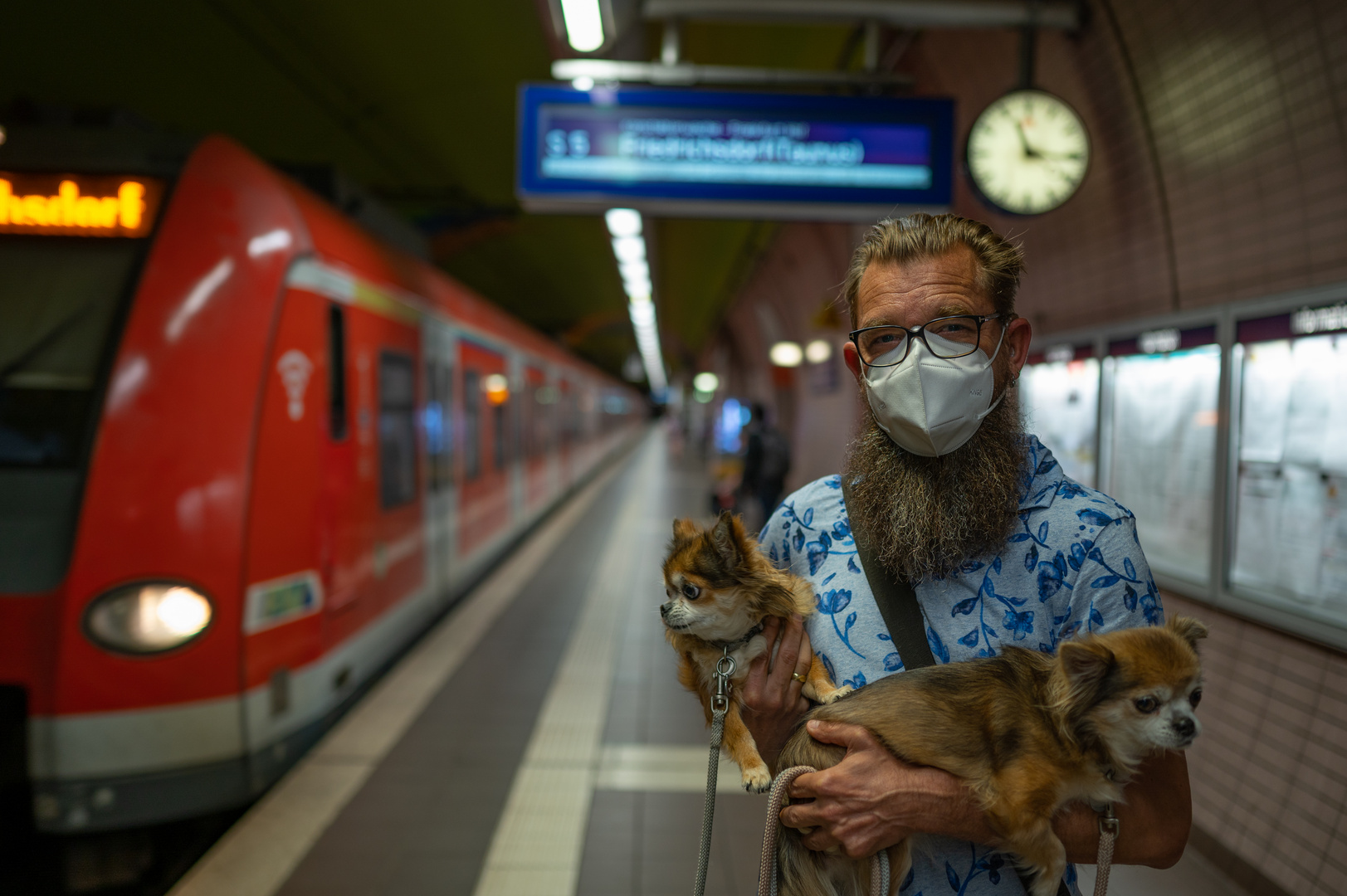 2021Mann mit zwei Chihuahuas auf dem Bahnsteig