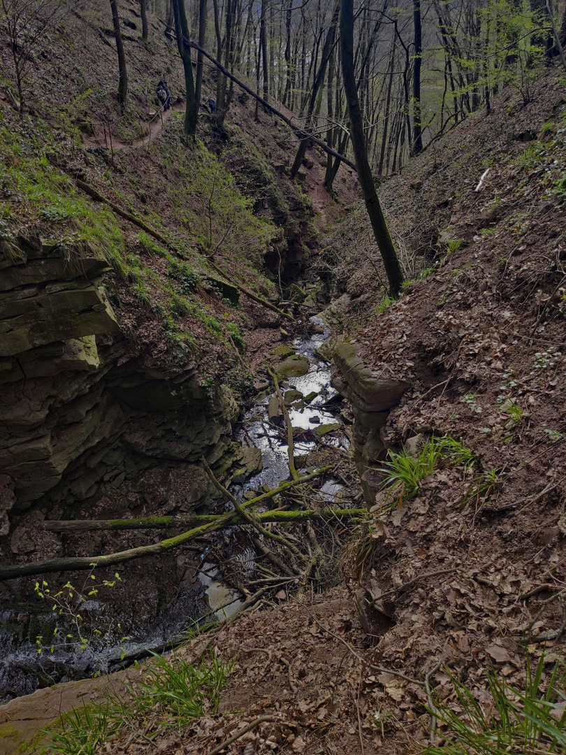 2022-01-15-Margarethenschluchtpfad, Neckargerach