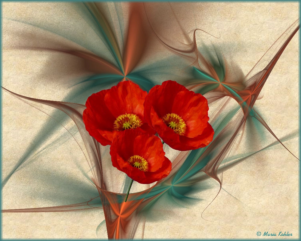 2022-03-25-Apophysis 1106 mit Mohn