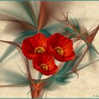 2022-03-25-Apophysis 1106 mit Mohn