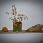 2022-04-13-Orchidee 