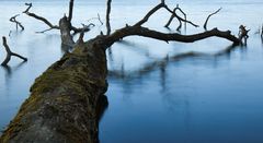 2022-05-03 Brandiser Teich-042