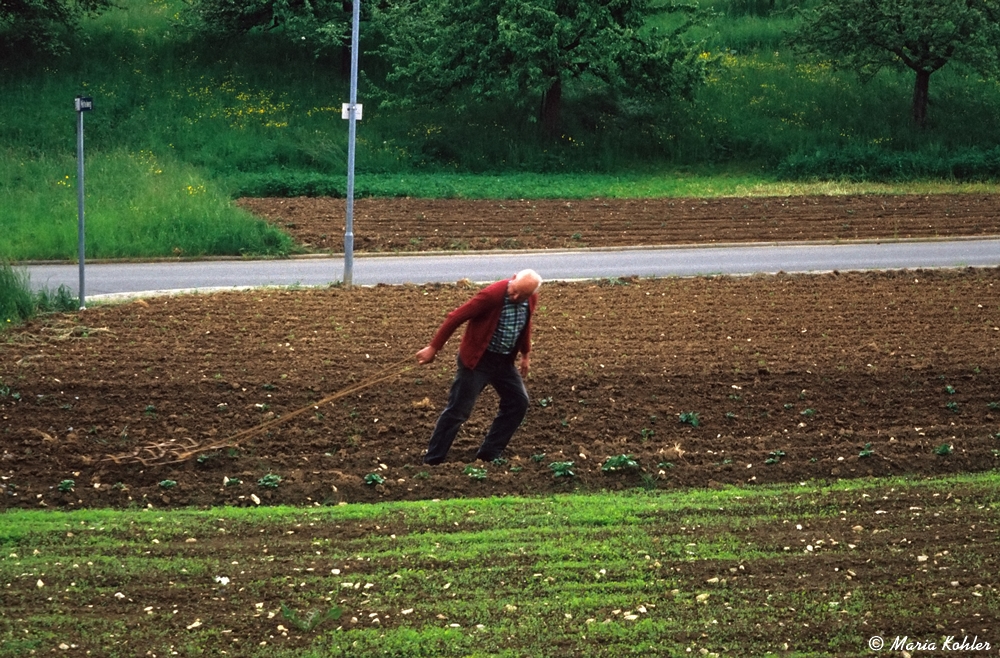 2022-07-11-Beim Eggen / wie dazumal