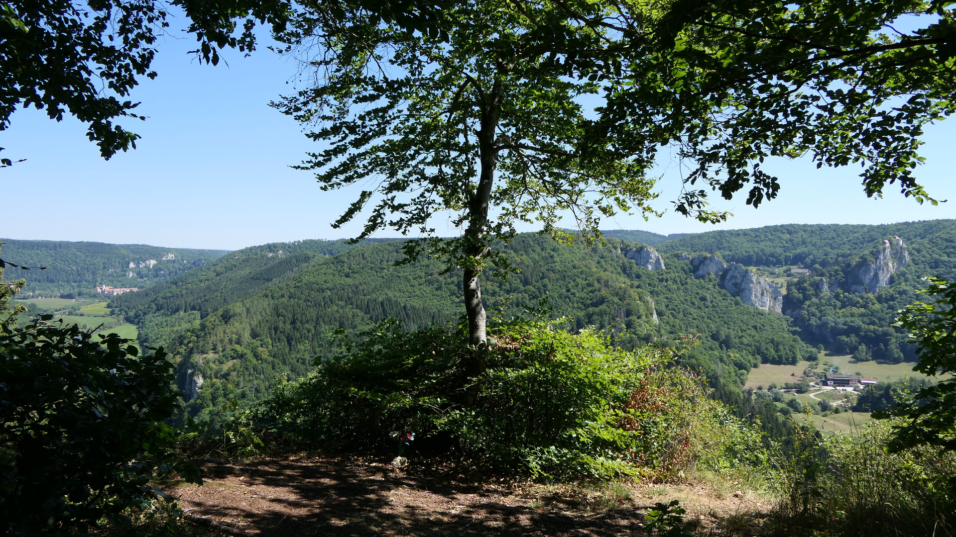 2022-08-11; Fridingen an der Donau; Knopfmacherfelsen