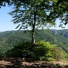 2022-08-11; Fridingen an der Donau; Knopfmacherfelsen