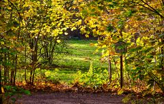 2022-11-12_Zweinaundorfer Wald-002