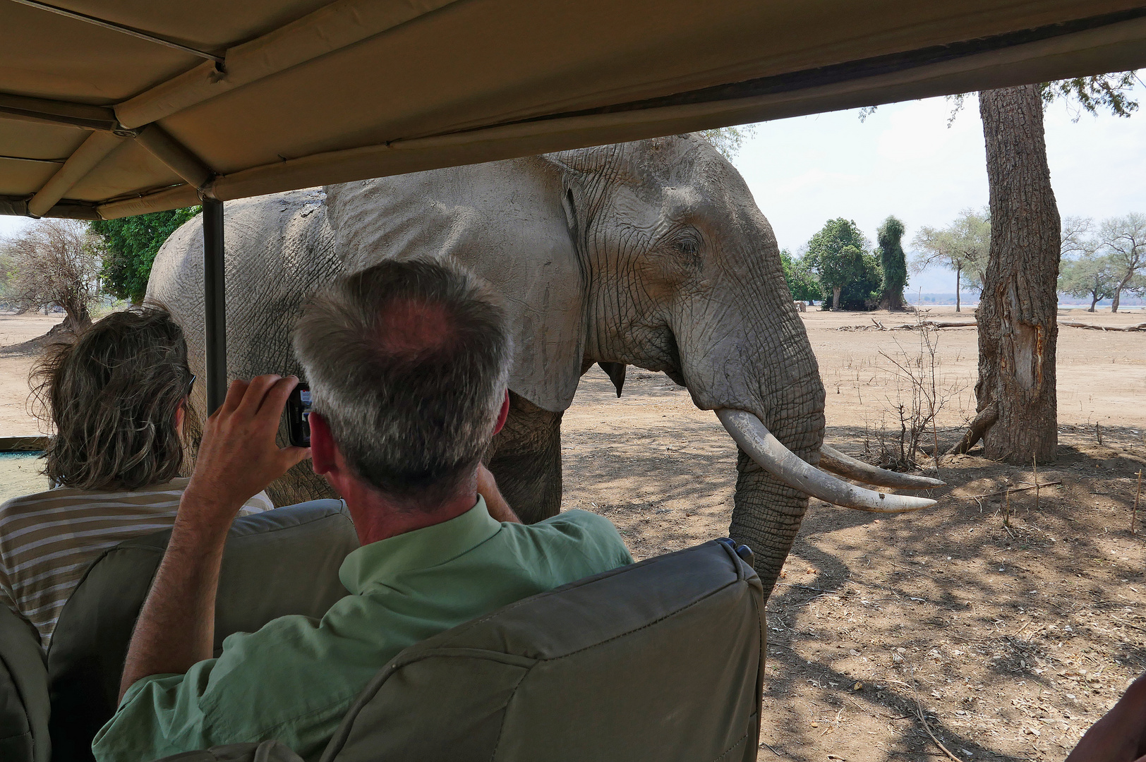 2022 SIMBABWE, Mana Pools NP